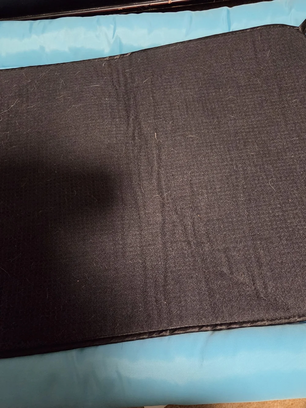 Padded Black Mat for Pets - Rest Pad